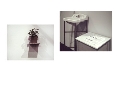  Herbs, washbasin, “Edition Herb Garden“ 