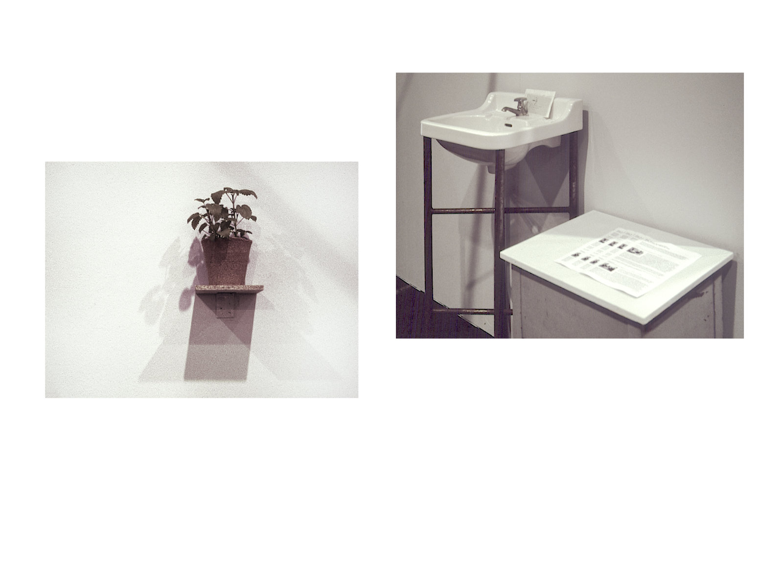  Herbs, washbasin, “Edition Herb Garden“ 